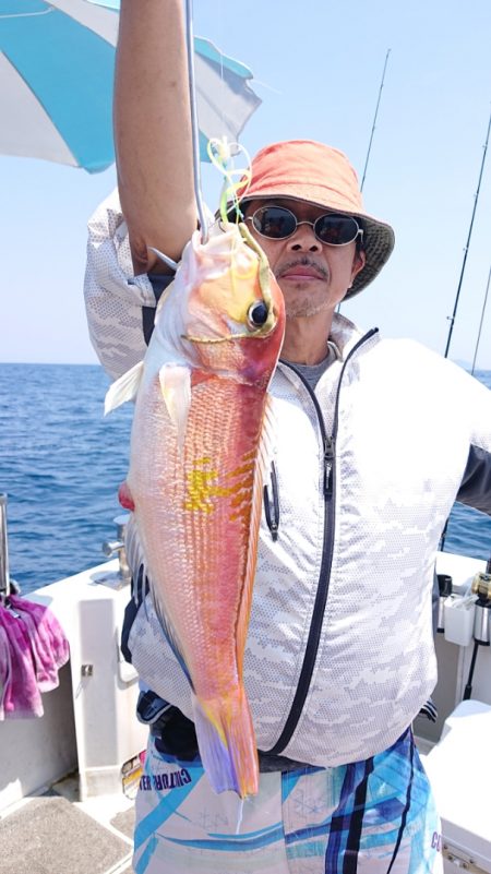 ARCADIAⅡ (アルカディアⅡ) 釣果