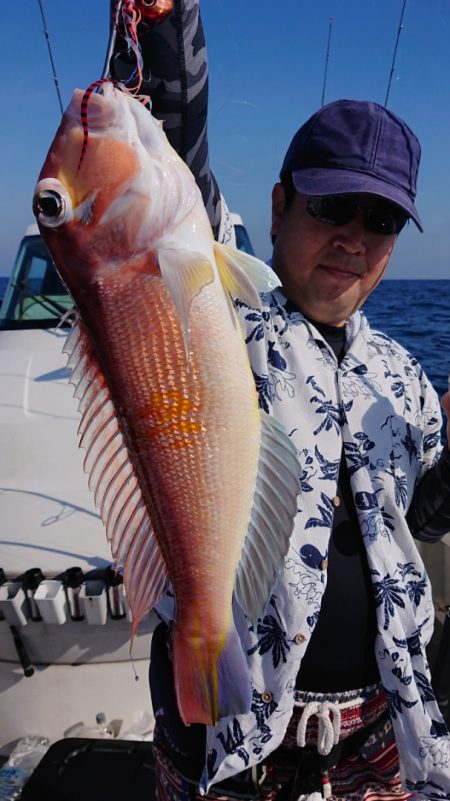 ARCADIAⅡ (アルカディアⅡ) 釣果