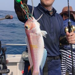 ARCADIAⅡ (アルカディアⅡ) 釣果