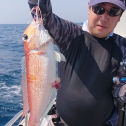 ARCADIAⅡ (アルカディアⅡ) 釣果