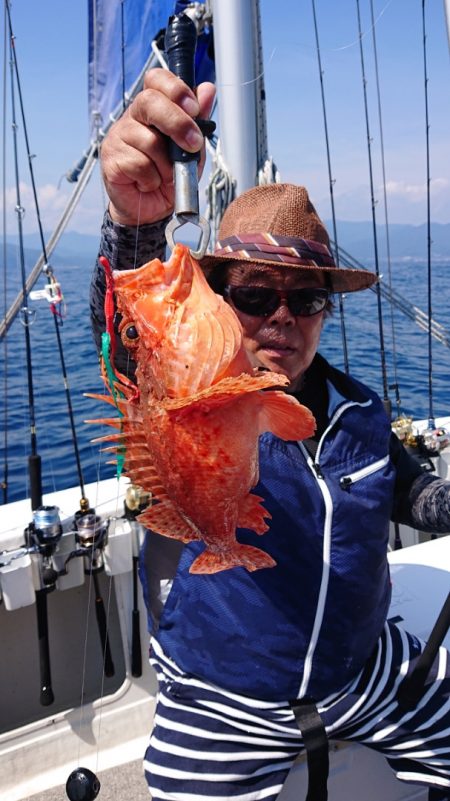 ARCADIAⅡ (アルカディアⅡ) 釣果