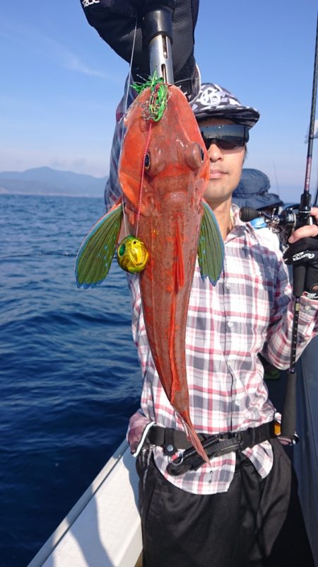 ARCADIAⅡ (アルカディアⅡ) 釣果