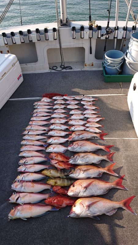 ARCADIAⅡ （アルカディアⅡ） 釣果…