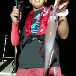 LUSTER『ラスター』 釣果