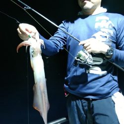 LUSTER『ラスター』 釣果