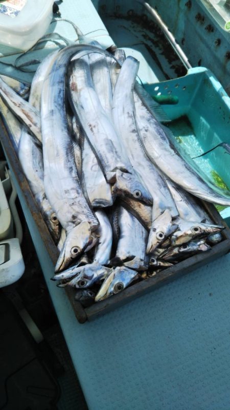 岡田釣船　八英丸 釣果