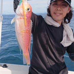 ARCADIAⅡ (アルカディアⅡ) 釣果