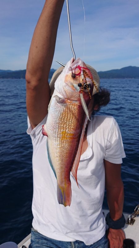 ARCADIAⅡ (アルカディアⅡ) 釣果