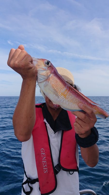 ARCADIAⅡ (アルカディアⅡ) 釣果