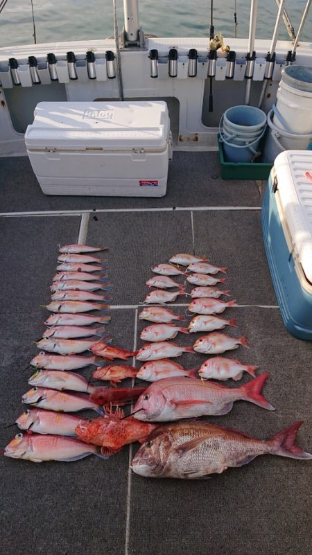 ARCADIAⅡ (アルカディアⅡ) 釣果