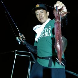 LUSTER『ラスター』 釣果