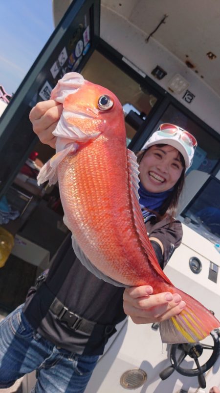 ARCADIAⅡ (アルカディアⅡ) 釣果