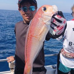 ARCADIAⅡ (アルカディアⅡ) 釣果