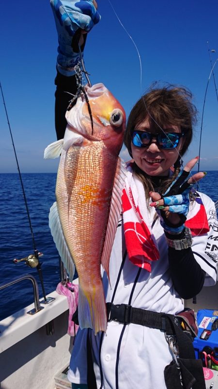 ARCADIAⅡ (アルカディアⅡ) 釣果