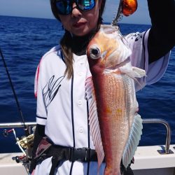 ARCADIAⅡ (アルカディアⅡ) 釣果