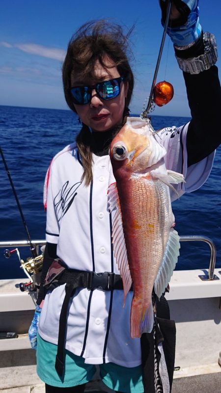 ARCADIAⅡ (アルカディアⅡ) 釣果