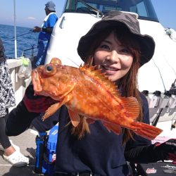 ARCADIAⅡ (アルカディアⅡ) 釣果