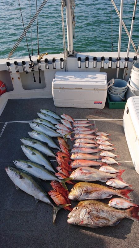 ARCADIAⅡ （アルカディアⅡ） 釣果…