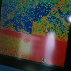 サンマリン 釣果