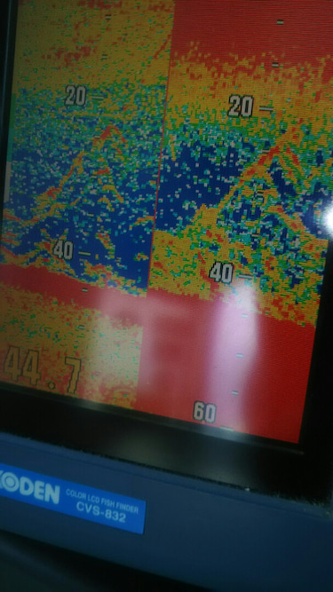 サンマリン 釣果