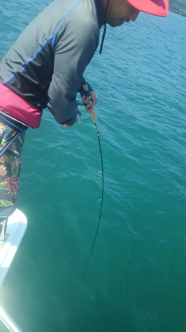 サンマリン 釣果