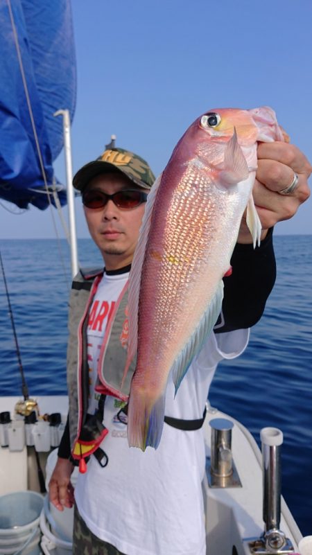 ARCADIAⅡ (アルカディアⅡ) 釣果