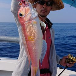 ARCADIAⅡ (アルカディアⅡ) 釣果