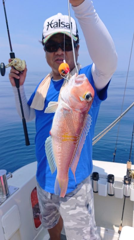 ARCADIAⅡ (アルカディアⅡ) 釣果