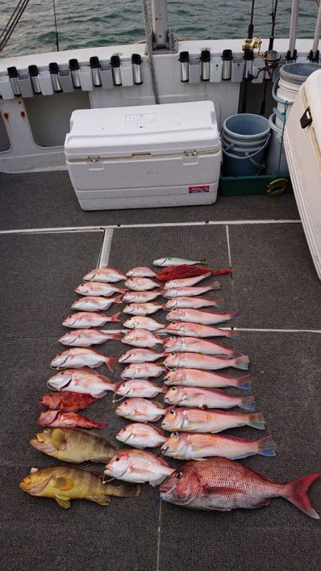 ARCADIAⅡ (アルカディアⅡ) 釣果