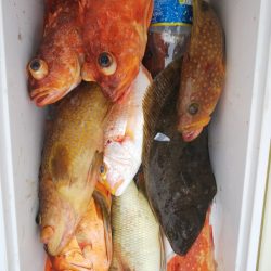 第二龍勢丸 釣果