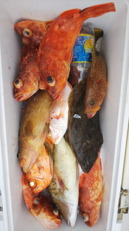 第二龍勢丸 釣果