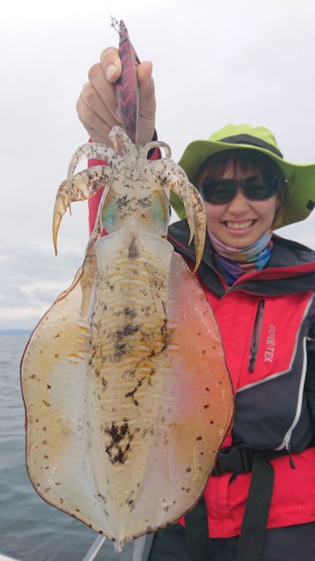 シースナイパー海龍 釣果