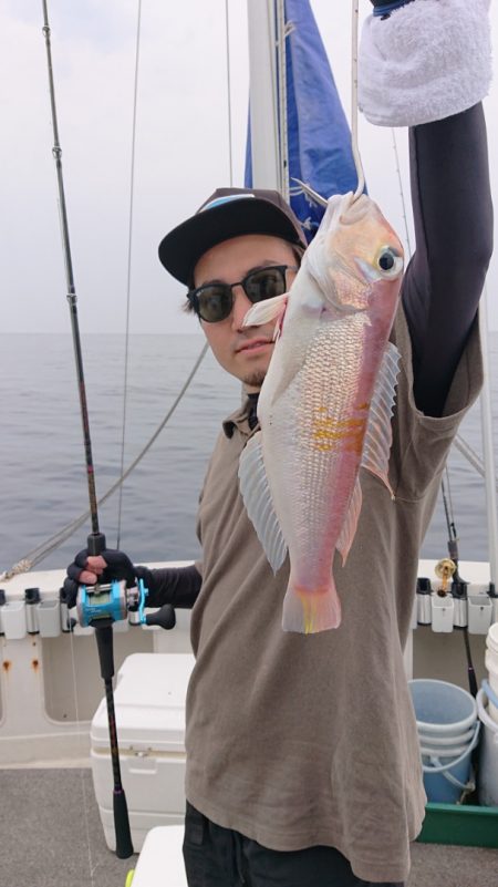 ARCADIAⅡ (アルカディアⅡ) 釣果