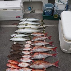 ARCADIAⅡ (アルカディアⅡ) 釣果