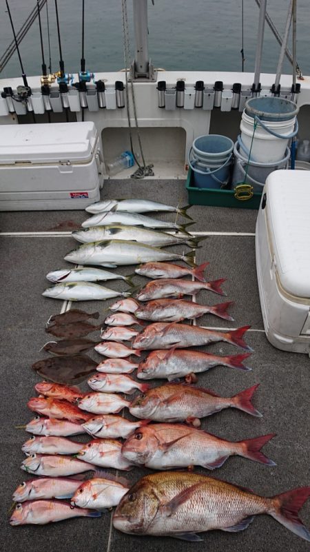 ARCADIAⅡ (アルカディアⅡ) 釣果