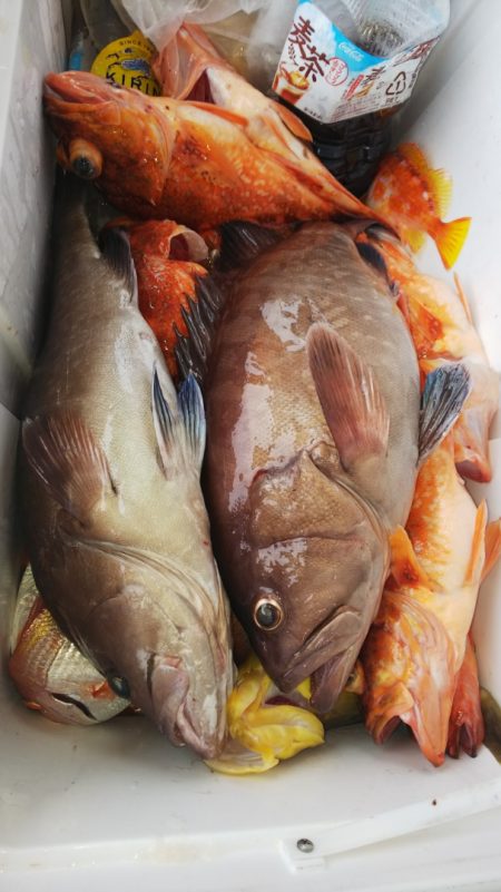 第二龍勢丸 釣果