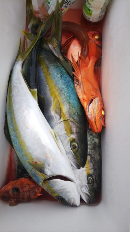 第二龍勢丸 釣果