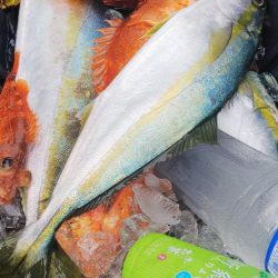 第二龍勢丸 釣果