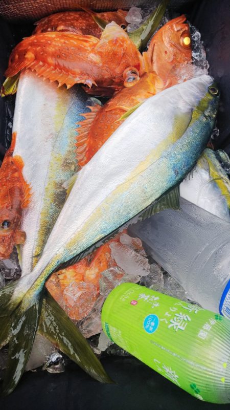 第二龍勢丸 釣果