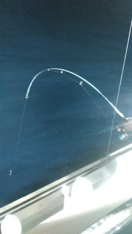 LUSTER『ラスター』 釣果