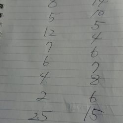 金沢八景鴨下丸 釣果