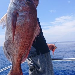 だて丸 釣果