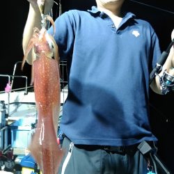 LUSTER『ラスター』 釣果