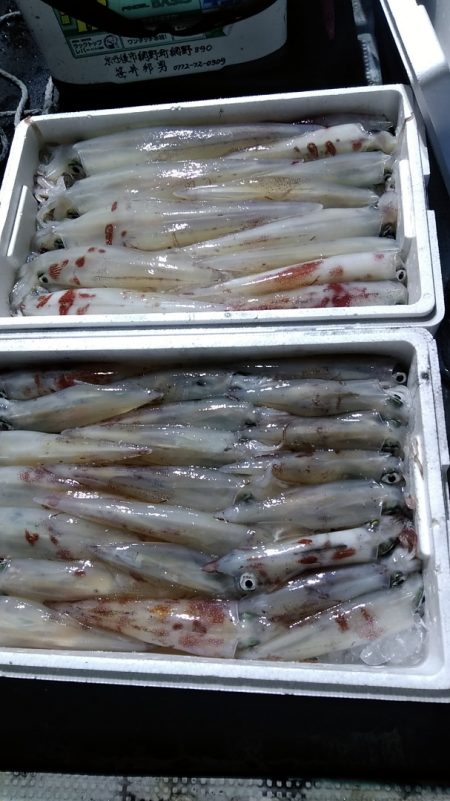 LUSTER『ラスター』 釣果