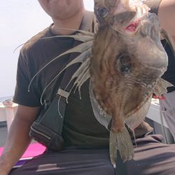 だて丸 釣果