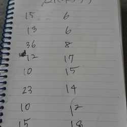 金沢八景鴨下丸 釣果