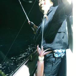 LUSTER『ラスター』 釣果