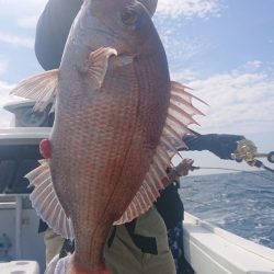 だて丸 釣果