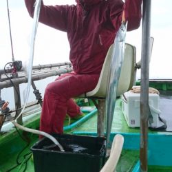 小島丸 釣果