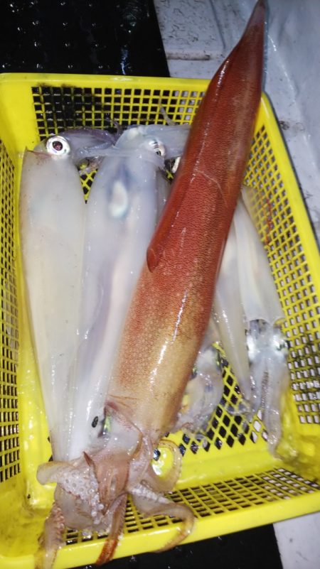 第二龍勢丸 釣果